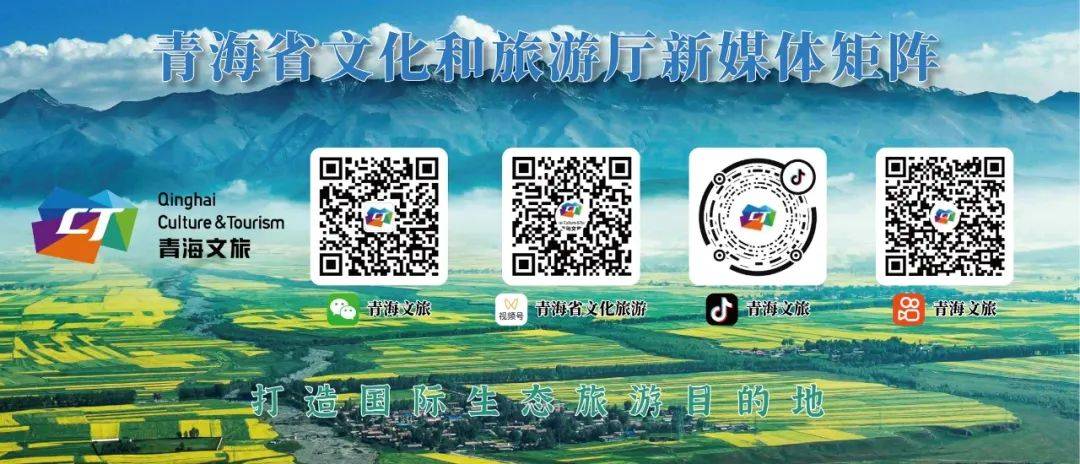 天下彩9944CC图文资讯，一网打尽最新信息，天下彩9944CC图文资讯，最新信息一网打尽