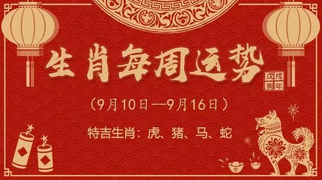 今晚上必开一肖，一场期待与激情的盛宴，今宵必开一肖，期待与激情的盛宴开启