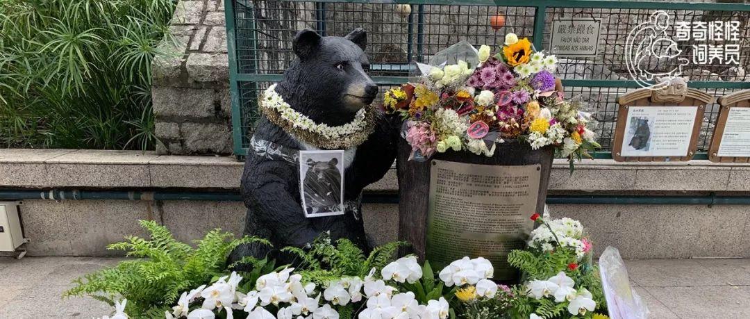 旧澳门开奖结果及开奖记录概览，澳门历史开奖结果及记录概览