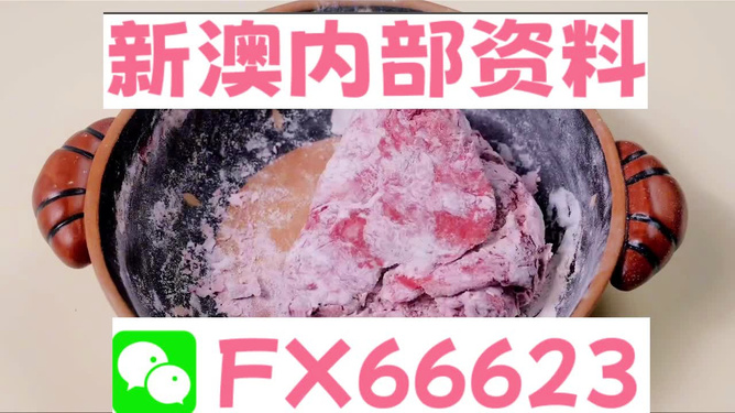 新澳门内部一码精准公开，探索前沿科技的魅力，澳门前沿科技揭秘，一码精准公开探索科技魅力