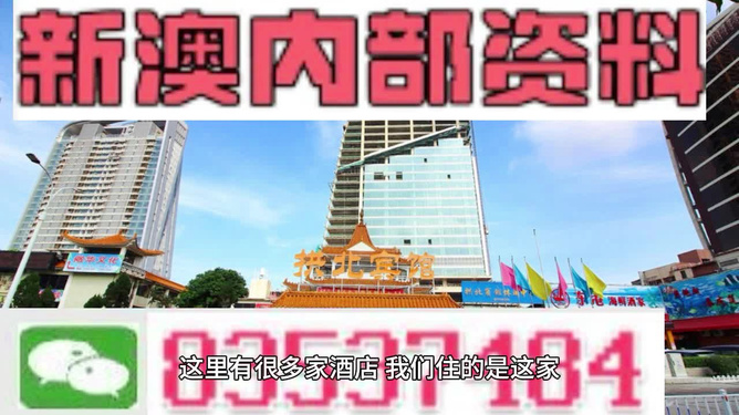 新澳门正版免费资料怎么查，澳门正版免费资料查询指南