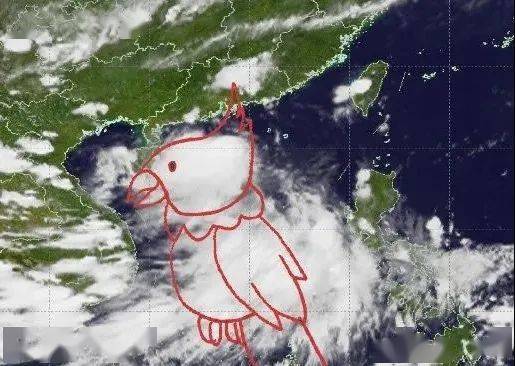 澳门最精准正最精准龙门蚕，澳门精准龙门蚕预测秘籍