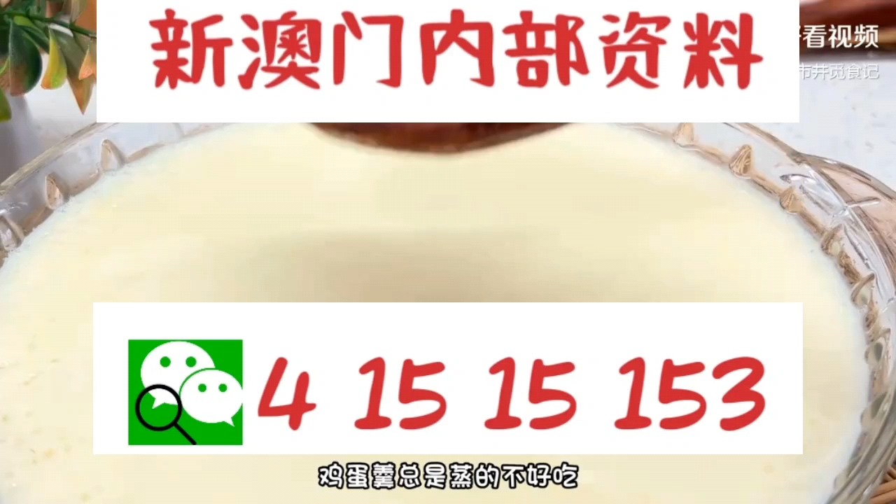 新澳门中特网中特马，澳门中特马最新资讯