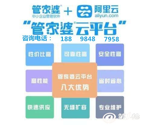 管家婆的资料一肖中特，管家婆资料揭秘，一肖精准中特