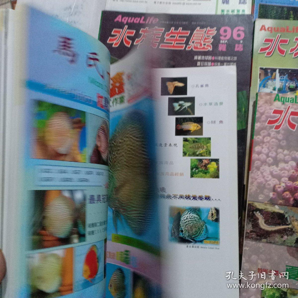 澳门王中王100%期期中一期，揭秘彩票背后的秘密，澳门王中王彩票揭秘，期期中背后的秘密真相探索