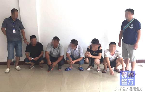 港澳六开彩开奖结果历史数据解析，港澳六开彩开奖结果历史数据深度解析
