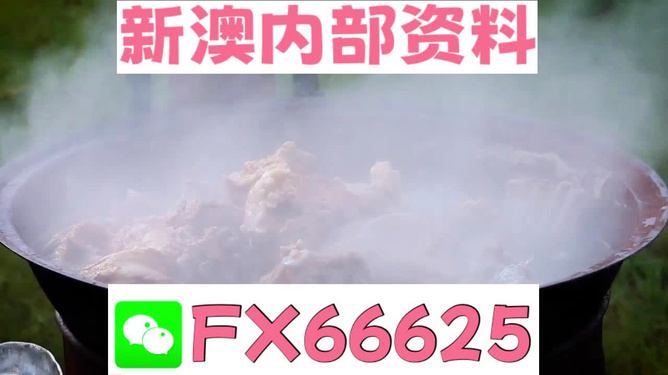 新澳全年免费资料大全，一网打尽各类资源，新澳全年免费资料大全，各类资源一网打尽