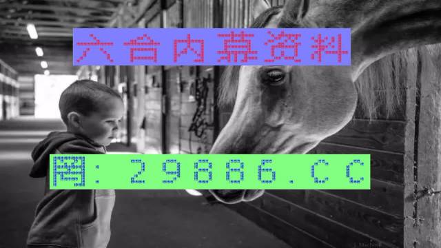 马会传真与澳门管家婆的百分百信赖，马会传真与澳门管家婆的信赖之选