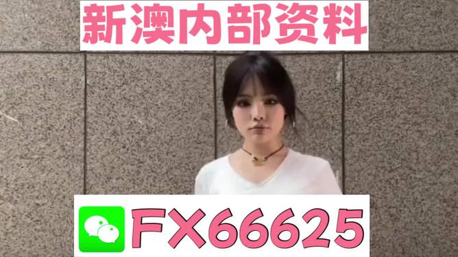 澳门正版资料大全免费歇后语—俗语文化的魅力与传承，澳门正版资料大全免费，俗语文化的魅力与传承