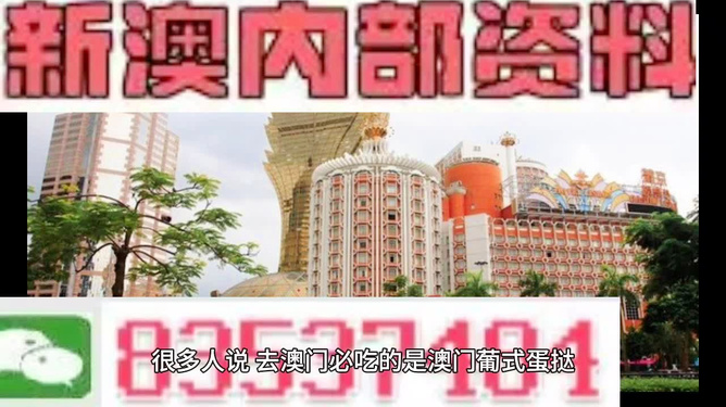 澳门免费精准资料，揭秘获取之道与利用策略，澳门免费精准资料揭秘，获取方法与利用策略指南
