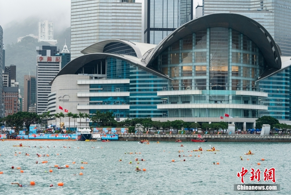 香港正版资料免费公开下载，香港正版资料免费公开下载专区