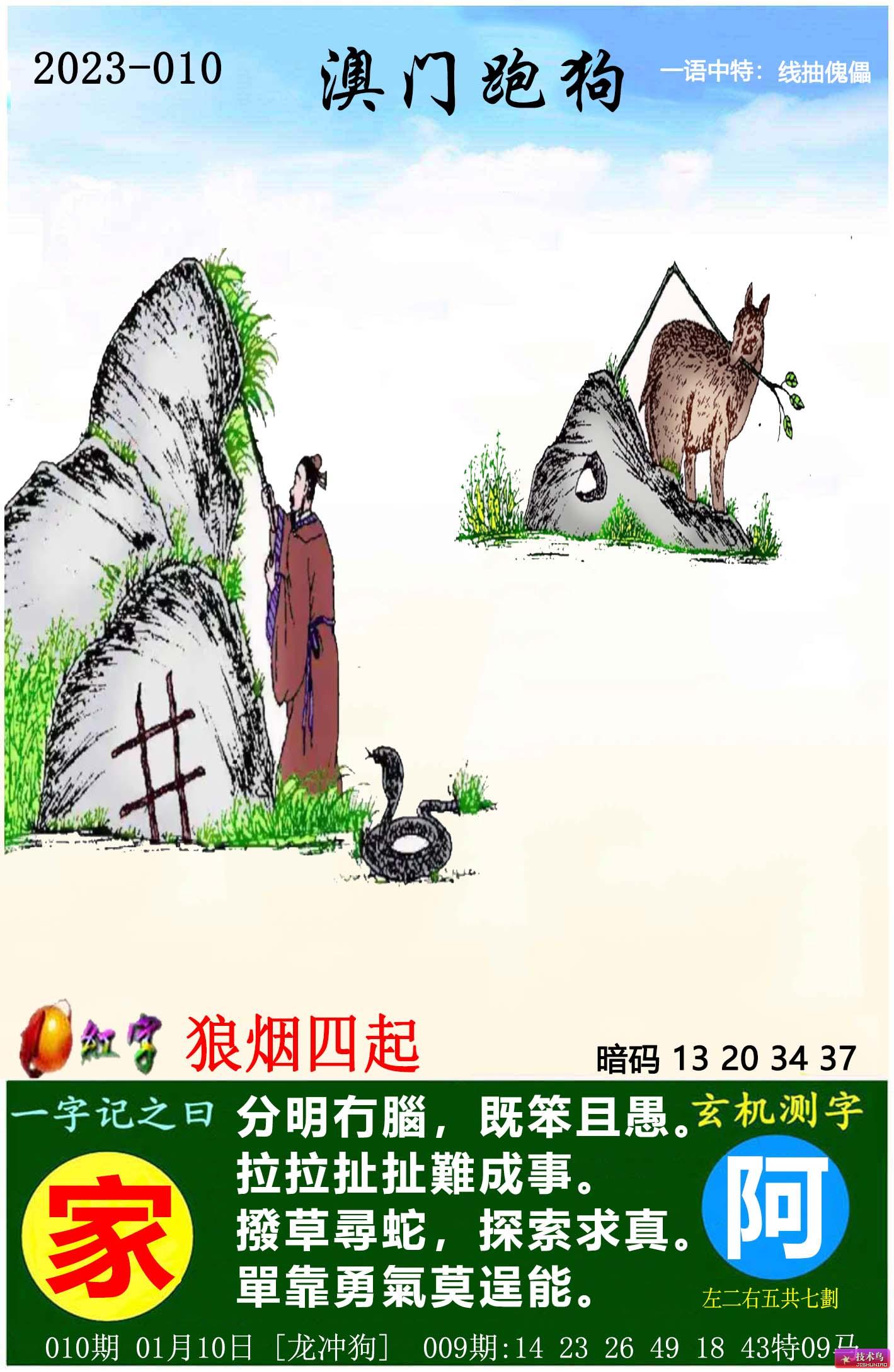 最新版跑狗图解图更新,高效解析说明_19