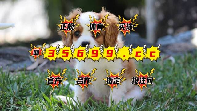 2025澳门特马今期开奖结果是什么,统计解答解释定义_45