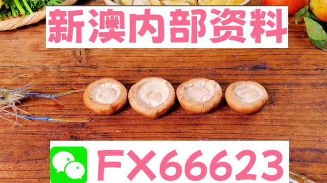 新澳全年免费资料大全，新澳全年免费资料大全汇总