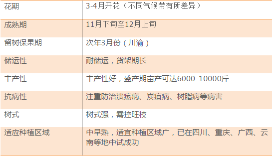 2025年澳门今晚开奖结果是什么,诠释说明解析_11