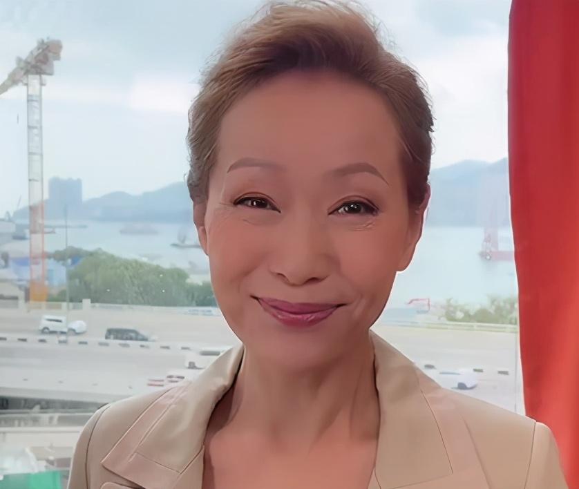 香港资料正版大全，香港正版资料大全概览