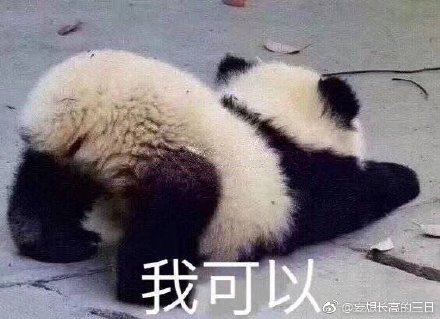 今晚澳门开一肖四不像图片，澳门今晚一肖四不像图片揭晓