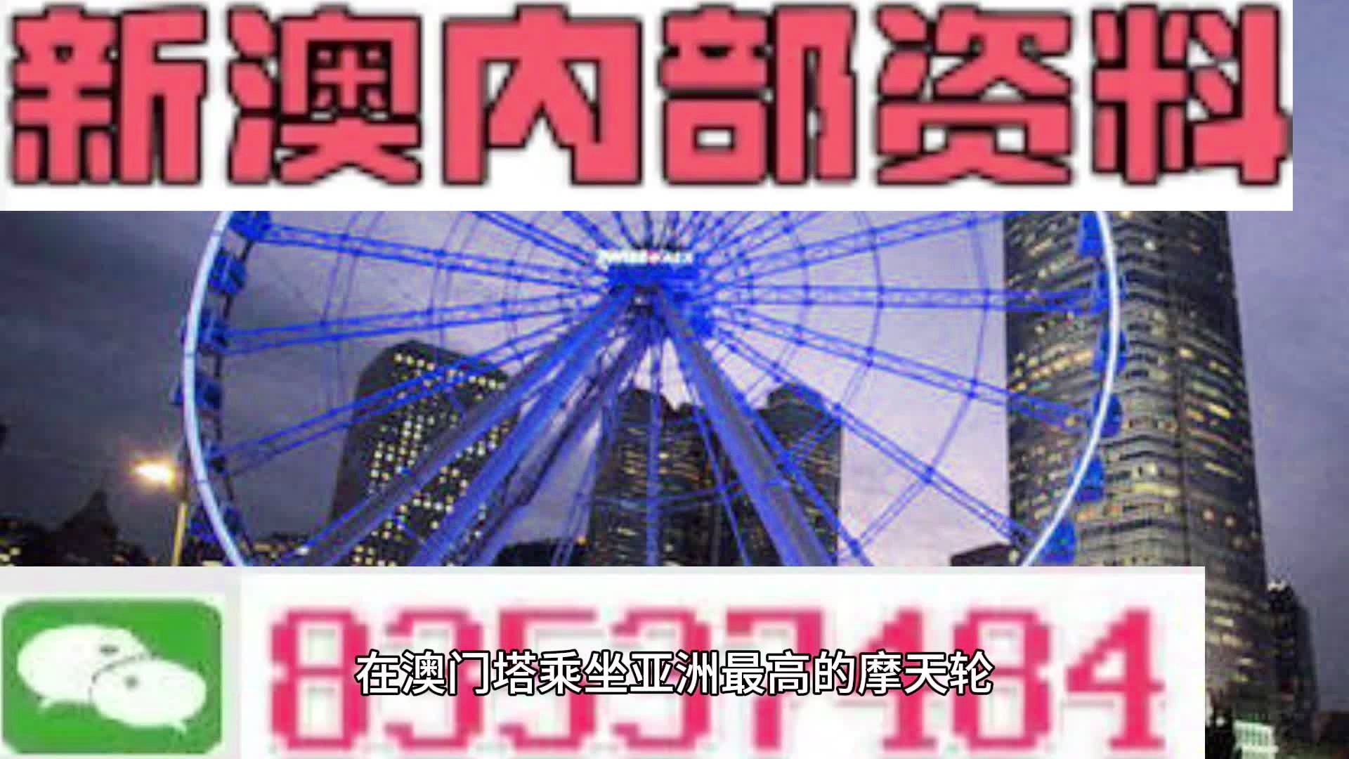 新澳门一肖中，揭秘期期准的奥秘，揭秘新澳门一肖中，期期准的奥秘所在
