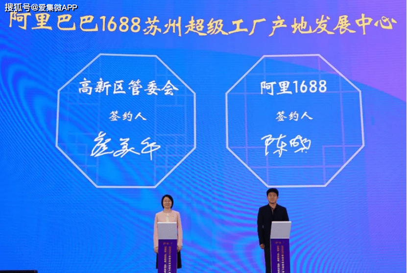 2025澳门今晚开特马开,多样化策略执行_45