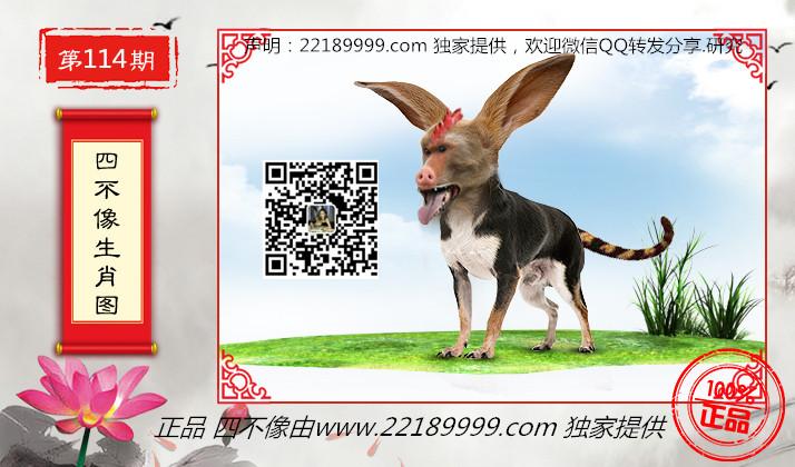 澳门今晚开特马四不像图,定制化执行方案分析_21