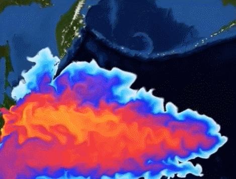 揭秘香港码开奖历史走势图，揭秘香港码开奖走势图历史揭秘