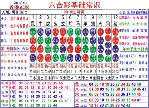 澳门正版资料大全资料生肖卡的奥秘与魅力，澳门正版资料大全，生肖卡的奥秘与魅力