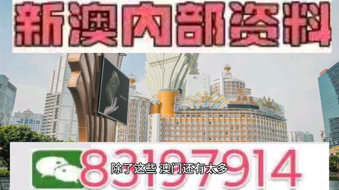 今晚澳门特马开的什么号码，澳门特马今晚开奖号码揭晓