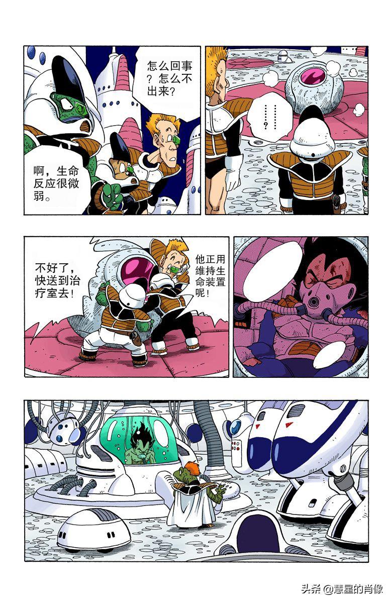 二四六天天彩资料大全网，二四六天天彩资料大全网，全面解析彩票资讯