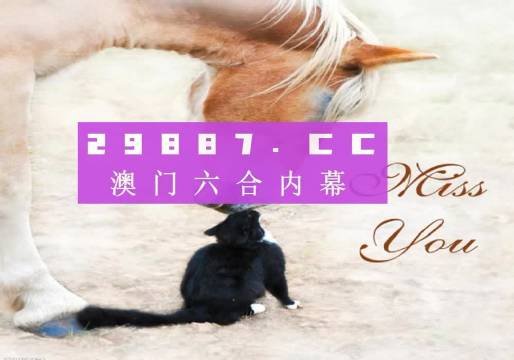 澳门资料，历史、文化、经济与发展概述，澳门历史、文化、经济与发展概览