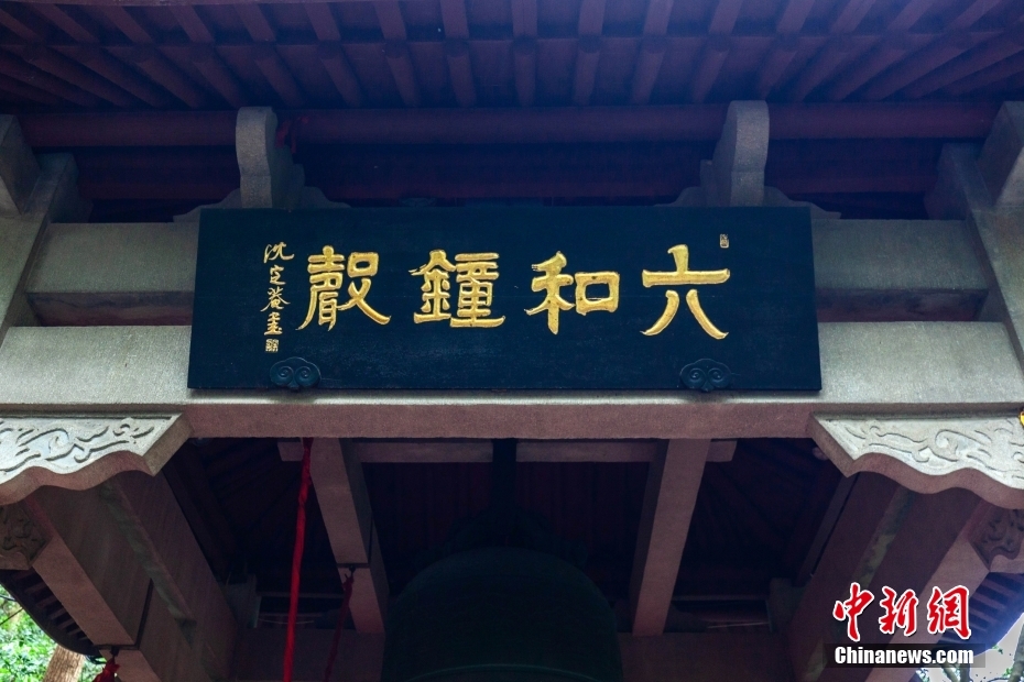 六和彩资料有哪些网址可以看六和总刚，六和彩资料网址推荐，观看六和总刚的必备资源链接
