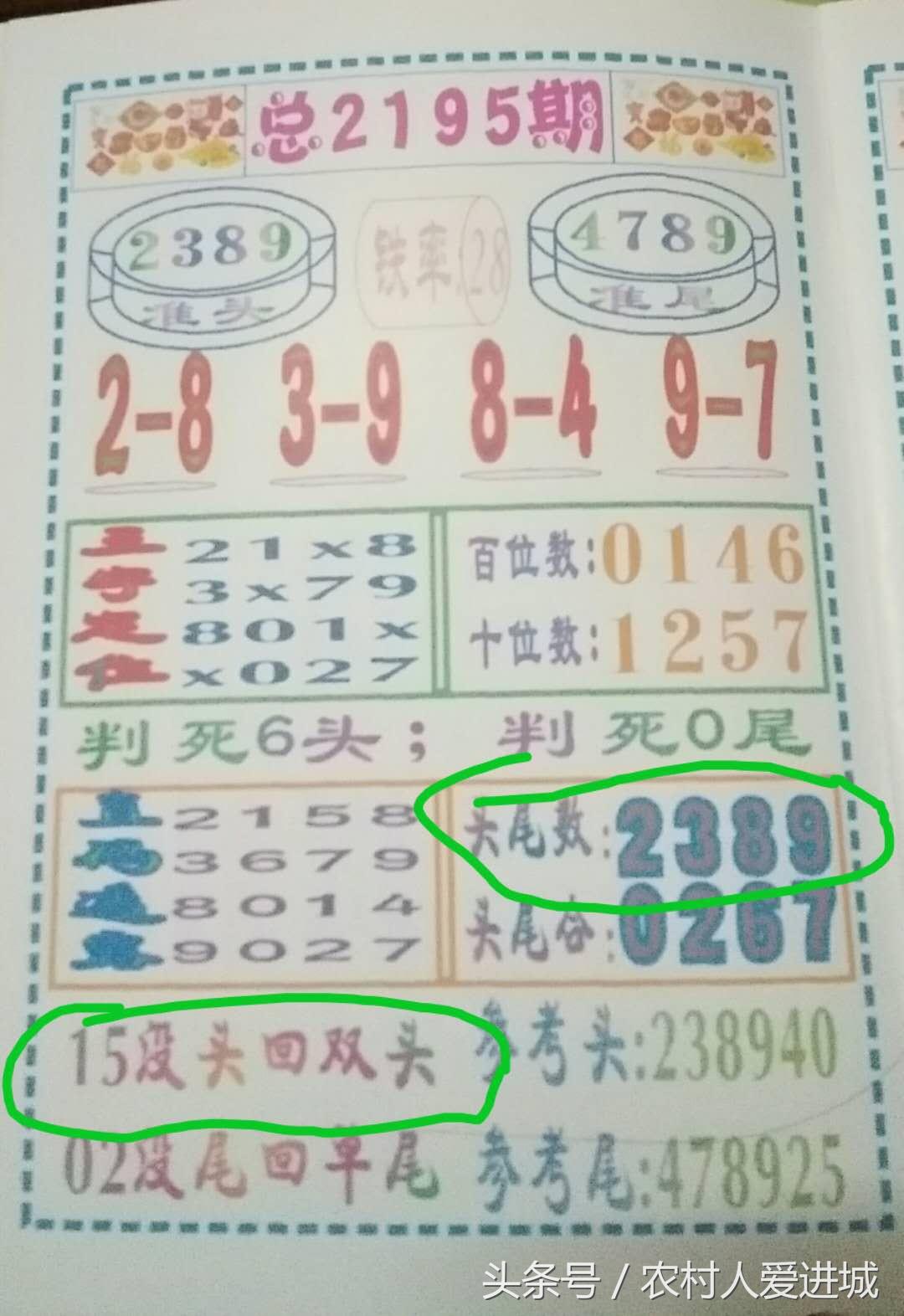 一码一肖100%探寻幸运之码的神秘面纱，揭开幸运之码神秘面纱，一码一肖100%探寻之旅