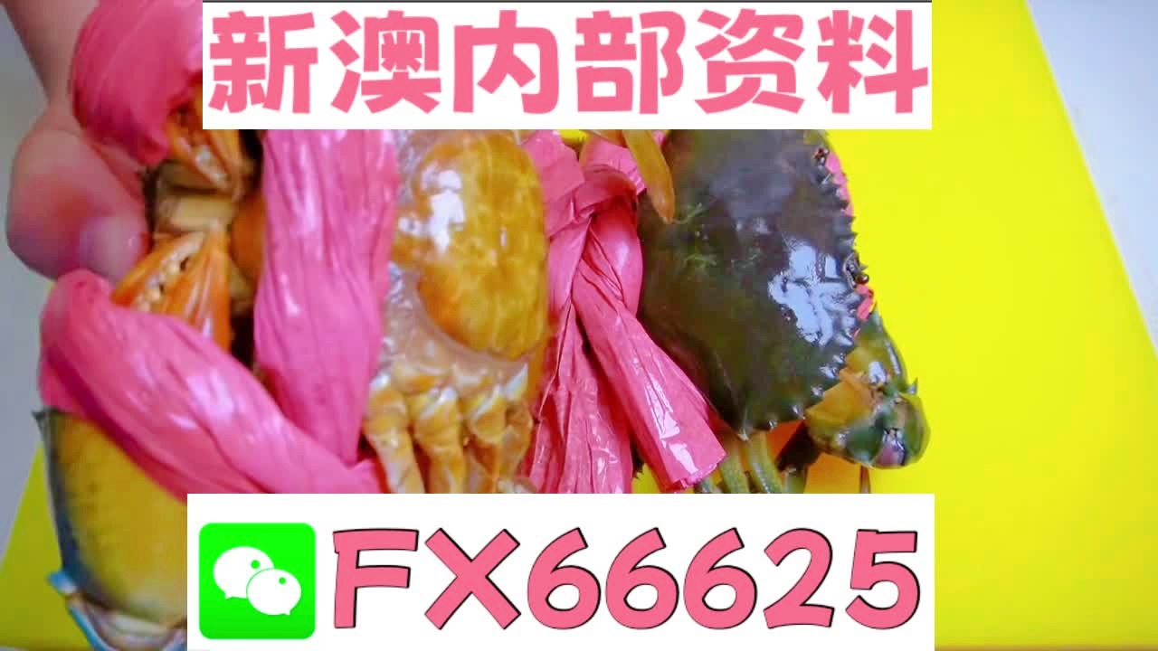 揭秘2025新澳精准资料大全，深度解析与前沿洞察，揭秘2025新澳精准资料大全，深度解析与前沿洞察揭秘报告
