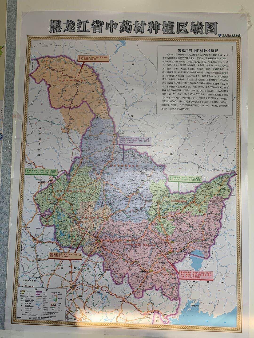 2025年香港正版资料免费大全，一网打尽最新资源，香港正版资料免费大全一网打尽最新资源（2025年）