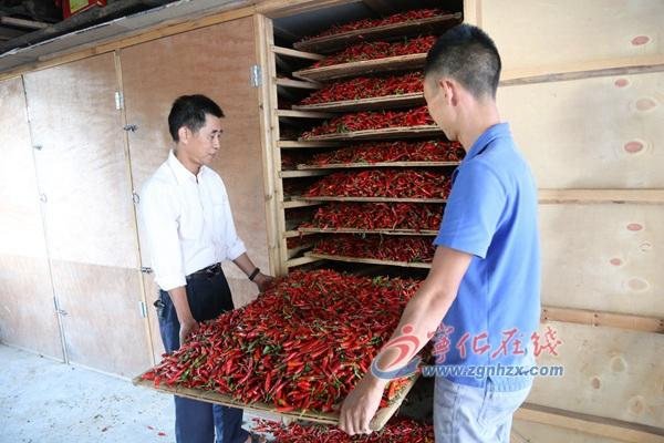 王中王免费资料大全料大全一一l，王中王资料大全全解析