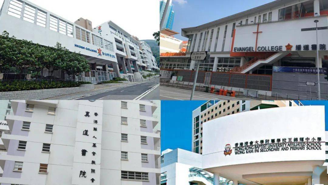 香港免费公开资料大全，探索知识的宝库，香港知识宝库，免费公开资料大全探索之旅
