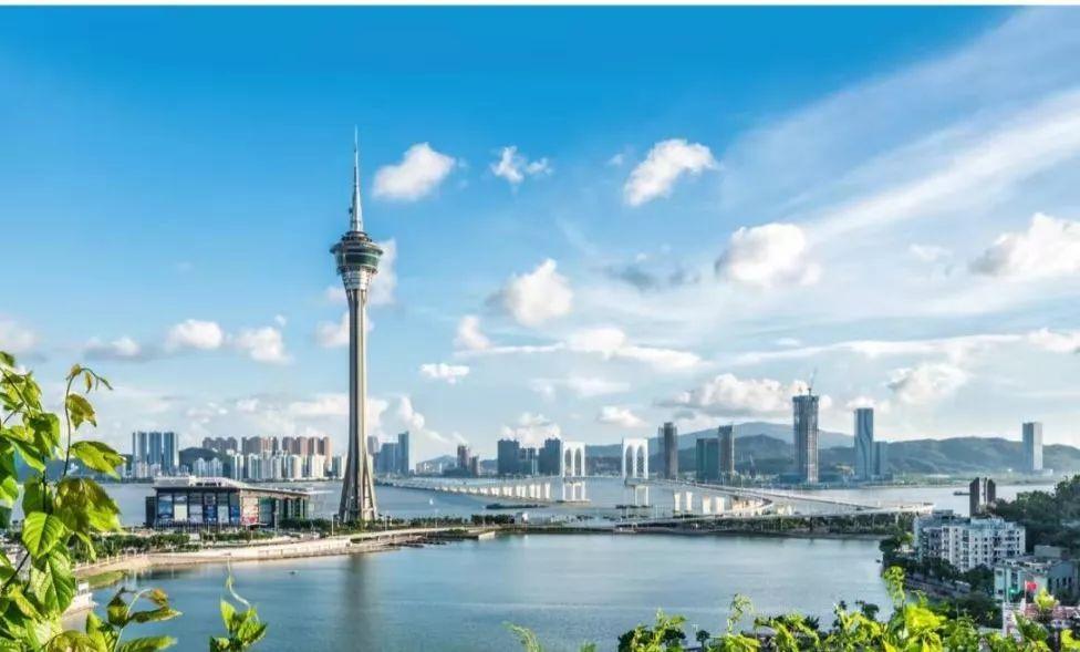 澳门最准最快的免费的233期，揭秘真相与实用指南，澳门233期揭秘真相与实用指南，最准最快的免费攻略