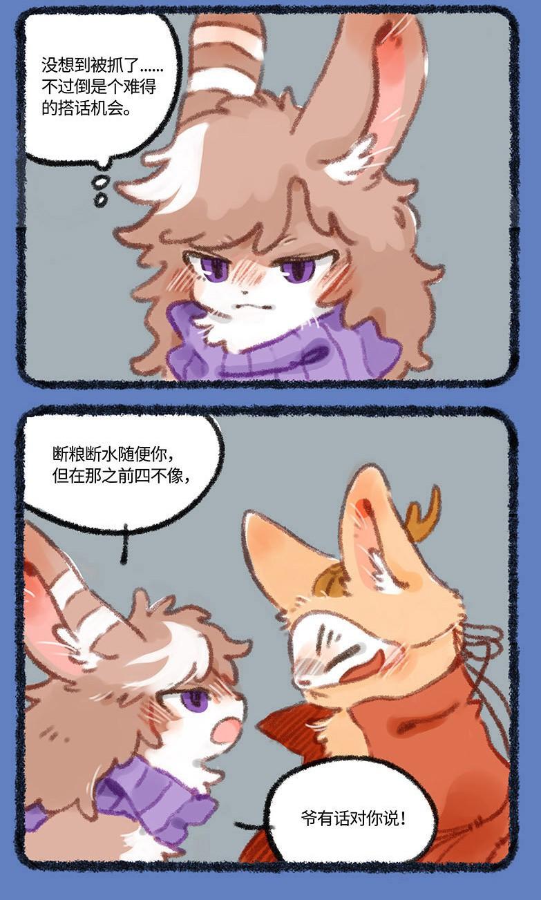 四不像正版资料的查看攻略，四不像正版资料查看攻略大全