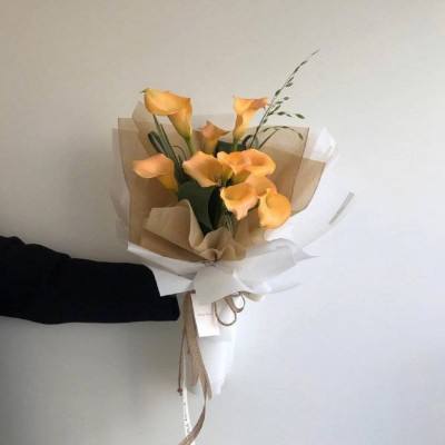 澳门天天开彩开奖结果，揭秘彩票背后的故事与魅力，澳门彩票背后的故事与魅力，天天开奖结果揭晓