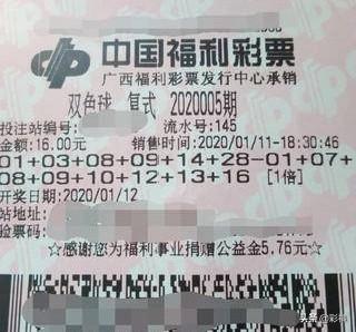 澳门今晚开码开的什么开的什介，澳门今晚开奖结果及解析