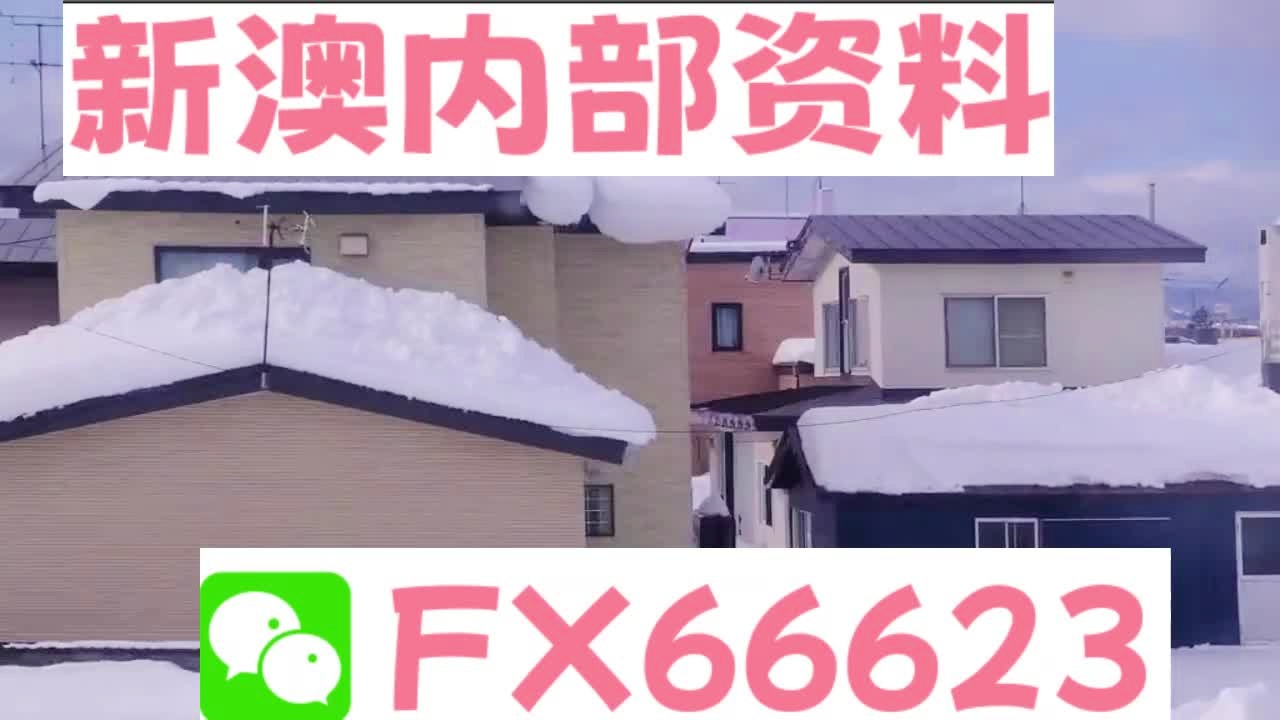 『深度解析』2025新澳精准资料大全详解，『深度解析』2025新澳精准资料大全全面解读
