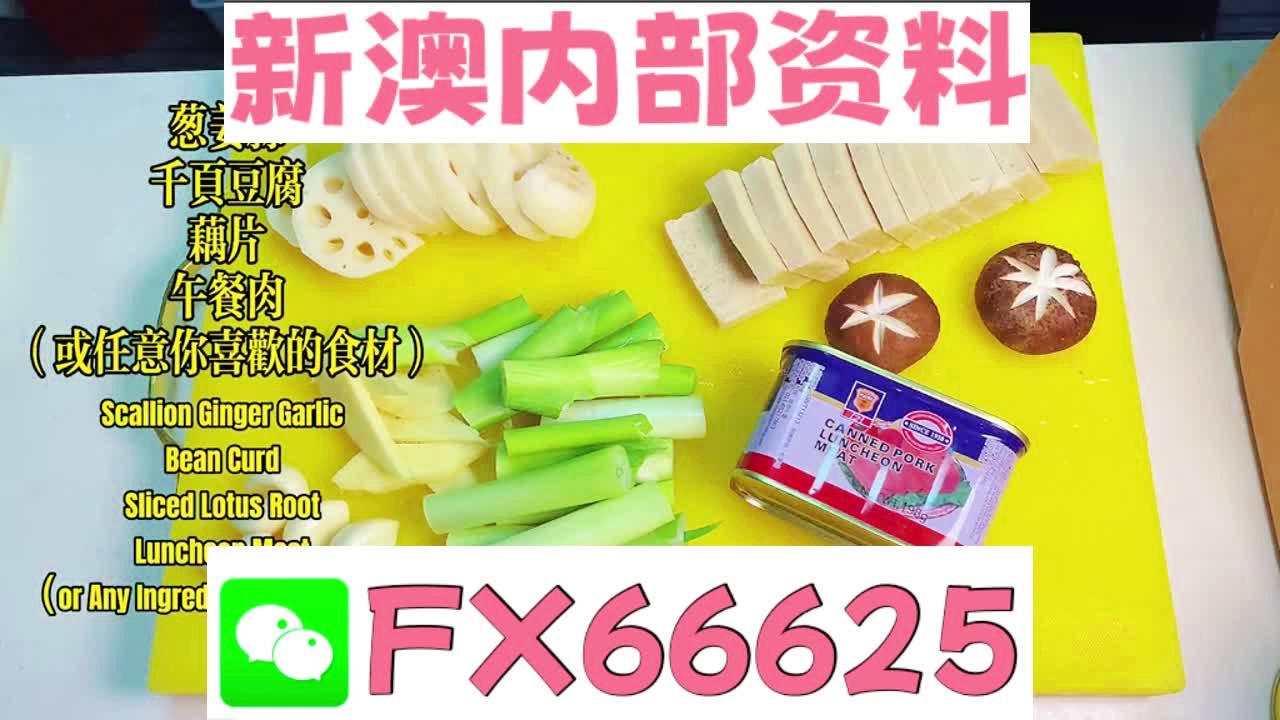 揭秘未来之门，2025新澳精准资料大全详解，揭秘未来之门，2025新澳精准资料详解