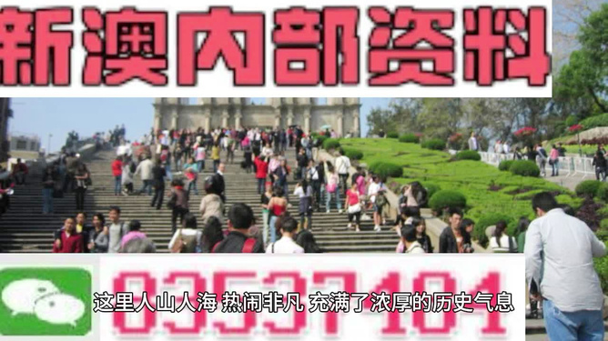 澳门最精准免费资料大全旅游团—探索澳门之旅的完美指南，澳门旅游团完美指南，最精准免费资料大全探索澳门之旅
