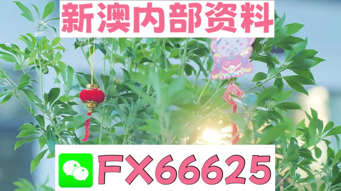 新澳好彩免费资料查询背后的故事，水果奶奶醉八仙，新澳好彩免费资料查询背后的故事，水果奶奶的八仙醉传奇