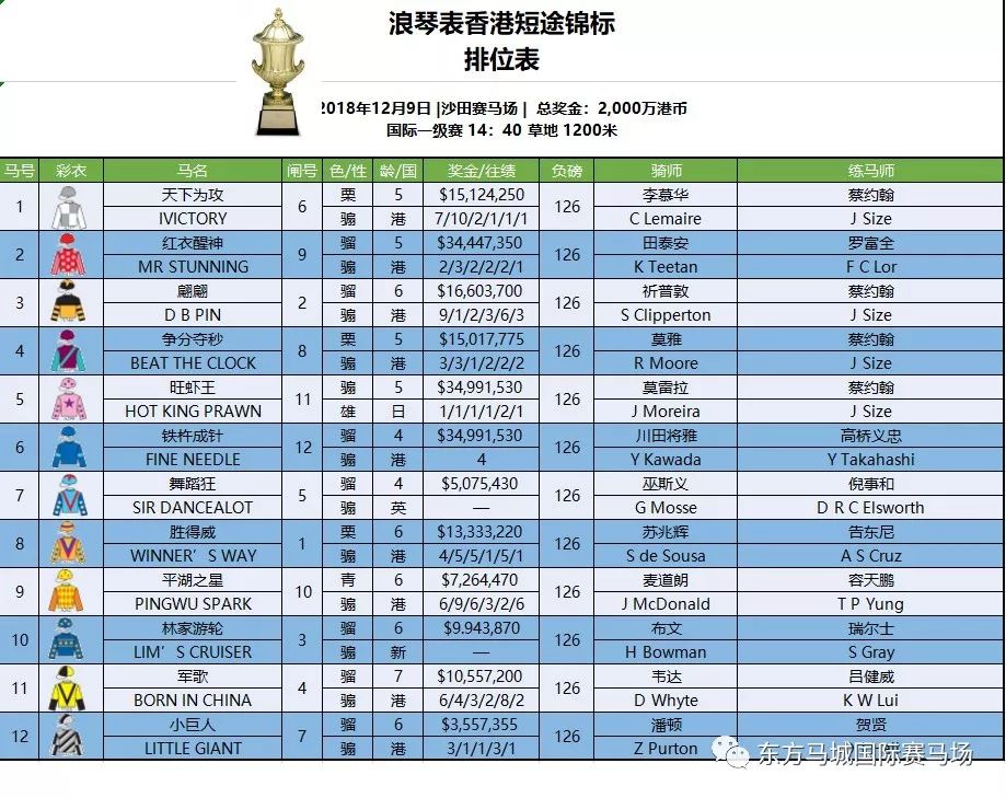 香港码开奖历史走势图表，香港码开奖历史走势图表分析