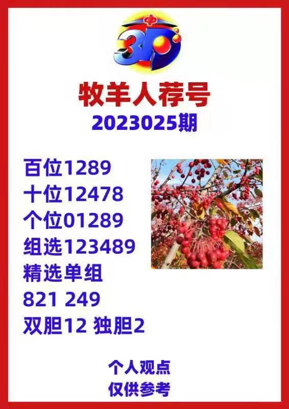 新澳天天开奖资料大全最新54期129期开奖结果，新澳开奖资料最新回顾，开奖结果至第129期汇总