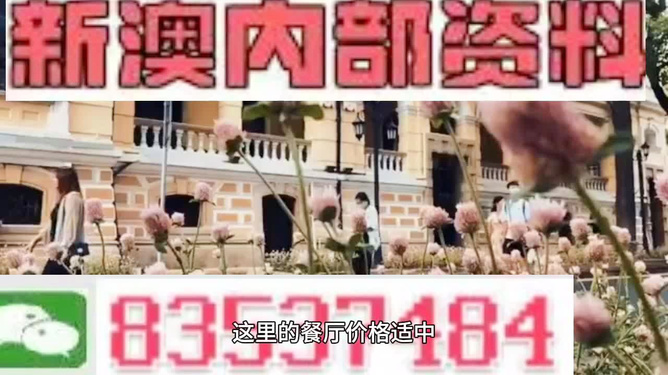 澳门最精准免费资料大全旅游团—探索澳门之旅的完美指南，澳门旅游团完美指南，最精准免费资料大全探索澳门之旅