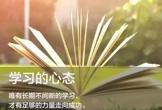 一肖最准期期中特大全，一肖最准期期中特定全解析