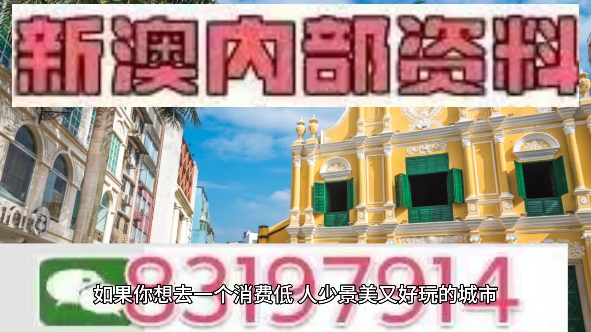 新澳2025年一肖一马中特展望，新澳未来展望，2025年一肖一马中特的期待与预测