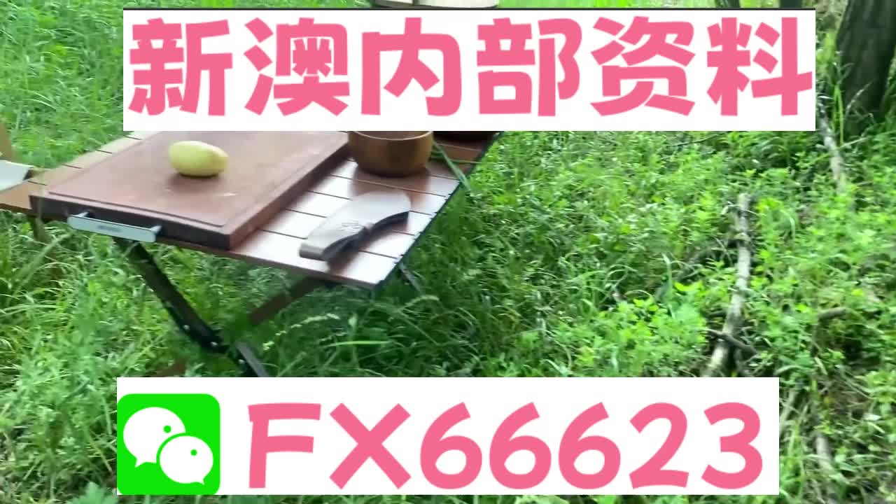 2025新澳精准资料大全解释，2025新澳精准资料大全详解