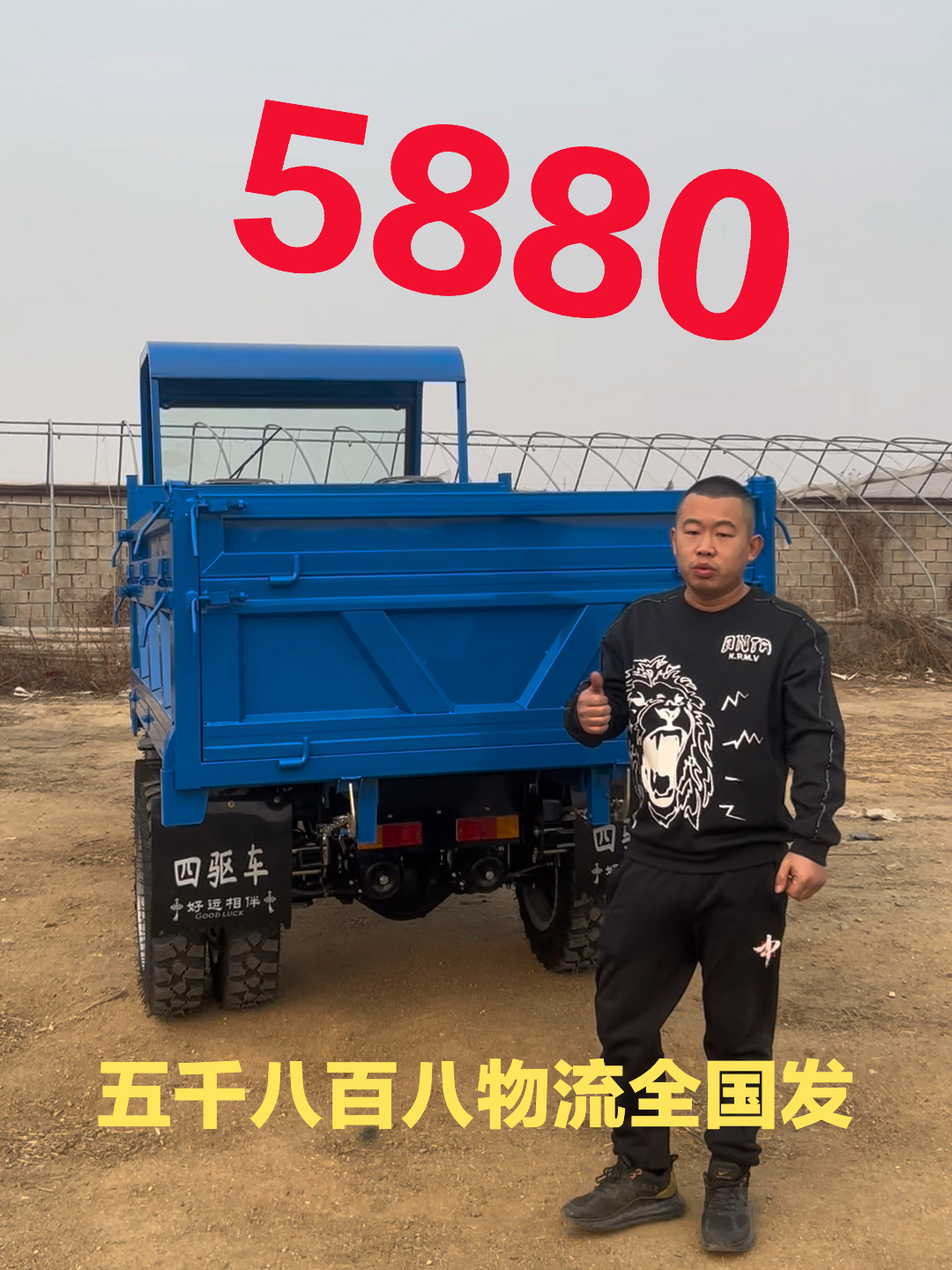 四不像车多少钱价格，四不像车辆价格解析